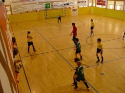 DSC06059